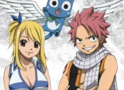 Test Avec quel mage de Fairy Tail es-tu la mieux assortie ?