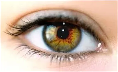 De quelle couleur tes yeux sont-ils ?