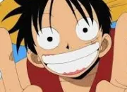 Quiz Vrai ou faux - One Piece (1/4)