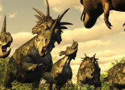 Quiz Le Styracosaurus