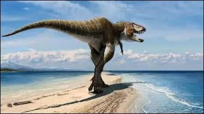 Que signifie le nom, "Lythronax" ?