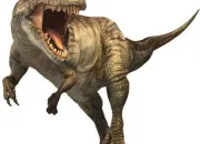 Quiz Le Giganotosaurus