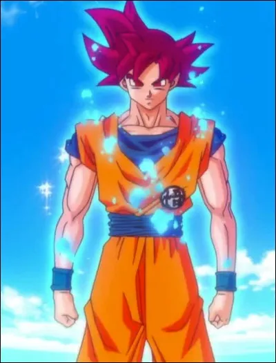 Quel est le nom de ce super Saiyan ?