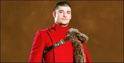 Dans le film "Harry Potter et la Coupe de feu", en quelle créature Viktor Krum se transforme-t-il partiellement lors de la deuxième épreuve du Tournoi des Trois Sorciers ?