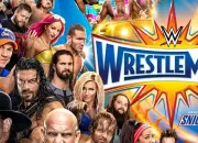 Quiz WWE 2016-2017