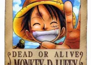 Quiz One piece