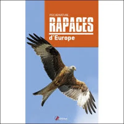 Rapaces d'Europe - Lequel présente une caractéristique différente des autres ?