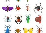 Quiz Les insectes