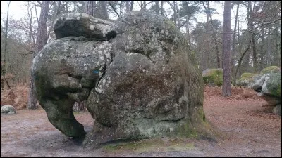 Parfois la nature joue à sculpter des formes étranges,où verrez vous cet éléphant?