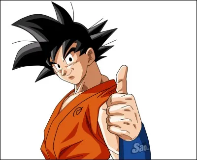 Comment s'appelle le personnage principal de Dragon Ball ?