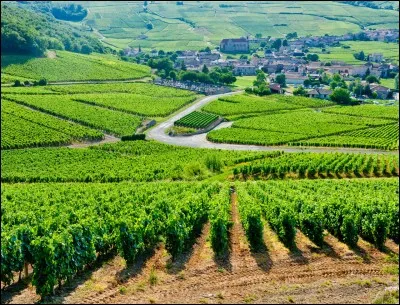 Que peut-on voir, entre autres, sur le blason de la Bourgogne ?