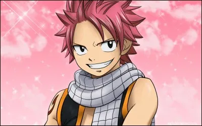 Quel est le nom de famille de Natsu ?