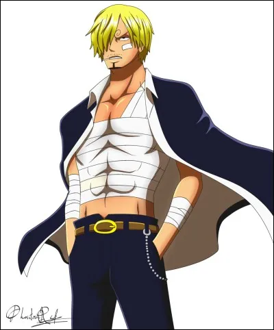 Quel est le rôle de sanji dans l'équipage ?