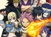 Test Test de personnalit spcial 'Fairy Tail'