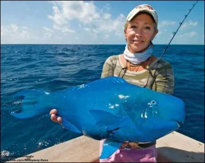 Quel est le nom de ce poisson ?