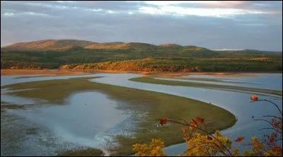 Sur quel continent trouve-t-on un fleuve nommé "Amour" ?