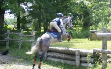 Quiz Equitation