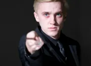 Quiz Drago Malefoy n 2