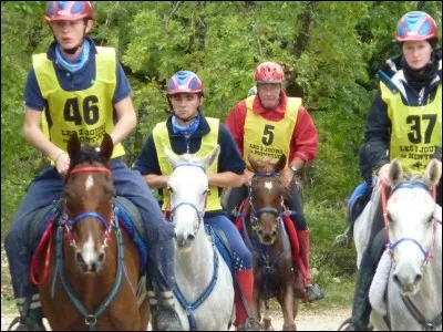 Quelle discipline pratiquent ces cavaliers?