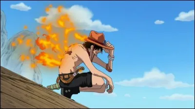 Comment s'appelle le frère de Luffy ?