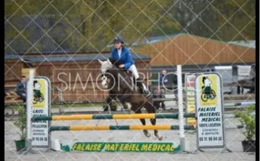 Quiz Equitation