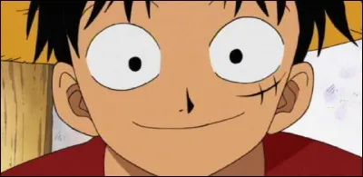 Qui est le premier personnage à entrer dans l'équipe de Luffy ?