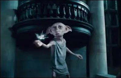 Dobby est :