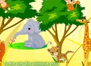 Quiz Les animaux dans les expressions franaises 8