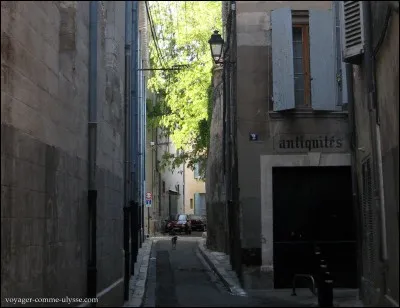 Dans la rue, vous croisez une vieille personne qui vous bloque le passage. Que faites-vous ?