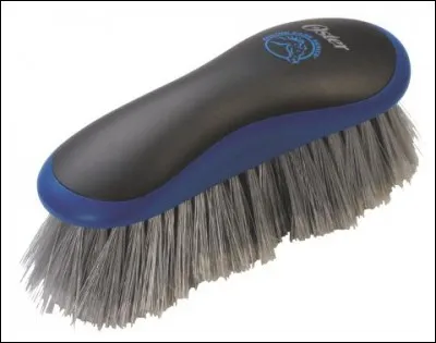 Comment se nomme cette brosse ?