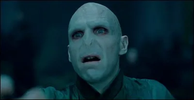 Comment appelle-t-on Voldemort ?