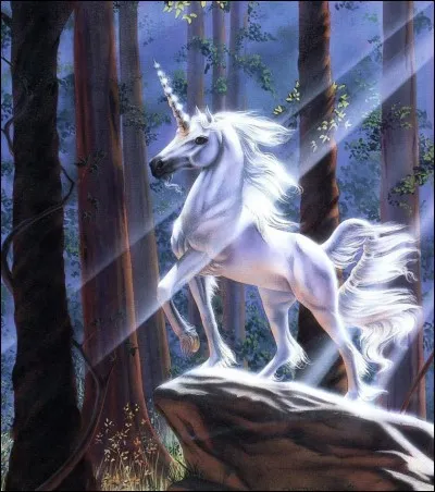 Ton surnom de licorne, c'est :