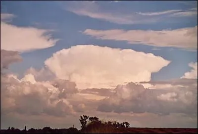 Quel est le nuage caractristique de l'orage ?