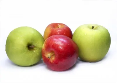 Sur quel arbre poussent les pommes ?