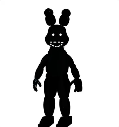 Quel est le nom exact de Shadow Bonnie ?