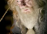 Quiz Albus Dumbledore