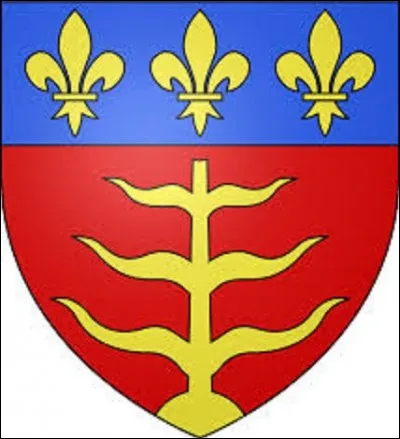 Représentant de gueules au saule d'or étêté, ayant six branches sans feuilles, trois à dextre, trois à senestre ; au chef cousu d'azur chargé de trois fleurs de lis d'or, ce blason est l'emblème de la commune la plus peuplée du Tarn-et-Garonne avec 58 826 habitants. Ville qui vit naître, entre autres, le peintre Jean-Auguste-Dominique Ingres le 29 août 1780. Quelle est-elle ?