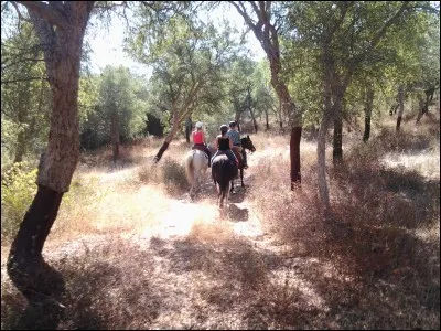 Dans quelle région du Portugal se situe le "Ranch do Novo Mundo" ?