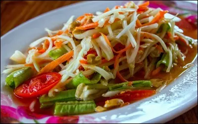 Quel est le nom de ce plat et d'où vient-il ?