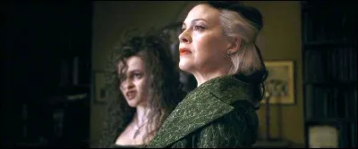 Y a-t-il un lien entre Narcissa Malefoy et Bellatrix Lestrange ?Si oui lequel ?