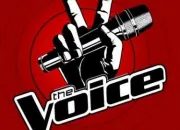 Test Quel coach de 'The Voice' (saison 6) es-tu ?