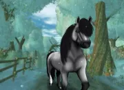 Quiz Star Stable Online