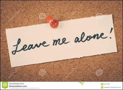 Qui a chanté "Leave me Alone" ?