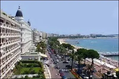 Vous connaissez sans doute la Croisette, à Cannes. Mais connaissez-vous l'origine du nom "Croisette" ?