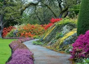 Quiz Plantes des jardins du monde