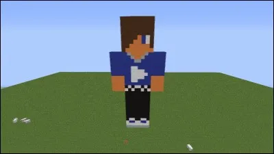 Qui est ce YouTubeur, d'après ce skin "Minecraft" ?