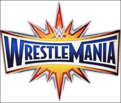 Quel équipe à fait son retour à Wrestlemania 33 ?