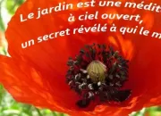 Quiz Balade littraire dans le jardin