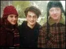 Quel ge ont Harry, Ron et Hermione sur cette photo ?