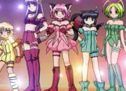 Quiz Mew Mew Power (saison 1 et 2)